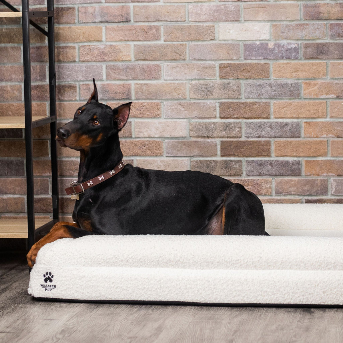 Premium Dog Products—Why Quality Matters - Wasatch Pup