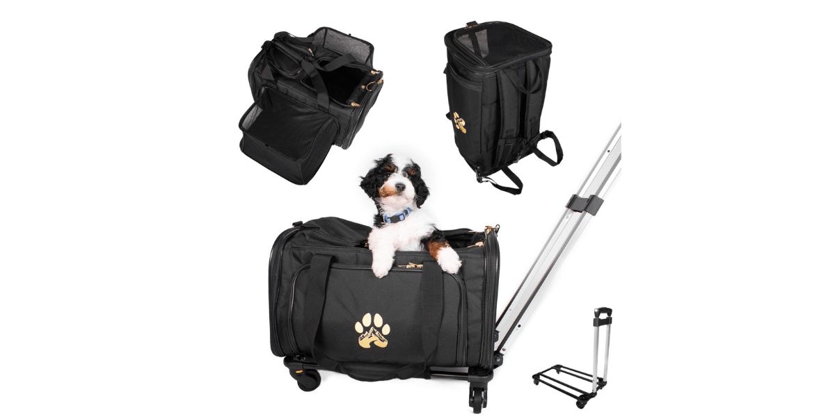 Will Your Pet Carrier Fit Under the Seat? - Wasatch Pup