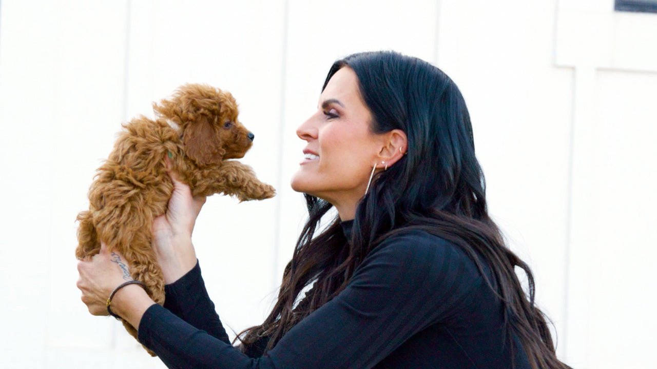 Elevate Your Dog’s Life with Wasatch Pup - Wasatch Pup