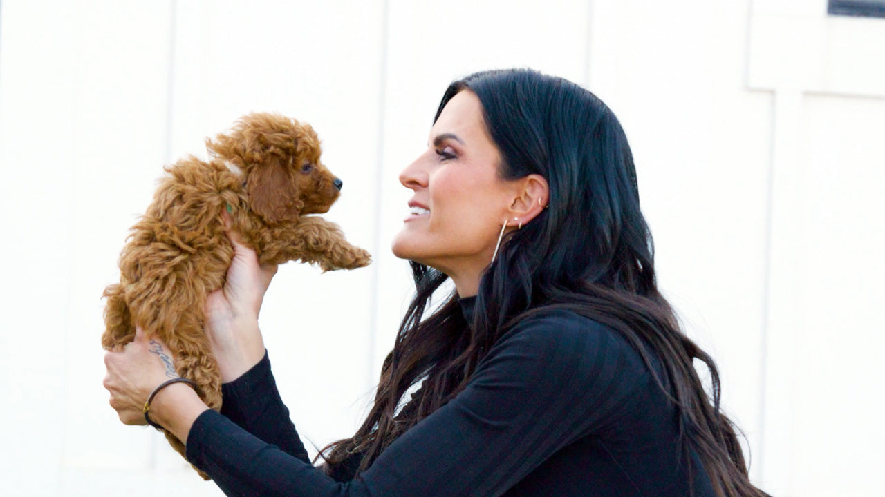 Elevate Your Dog’s Life with Wasatch Pup