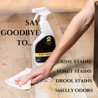 Paw Fresh | Spot Cleaner & Deodorizer