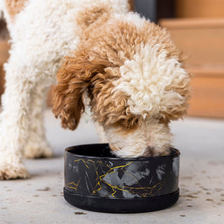 Limited Edition Ceramic Bowl
