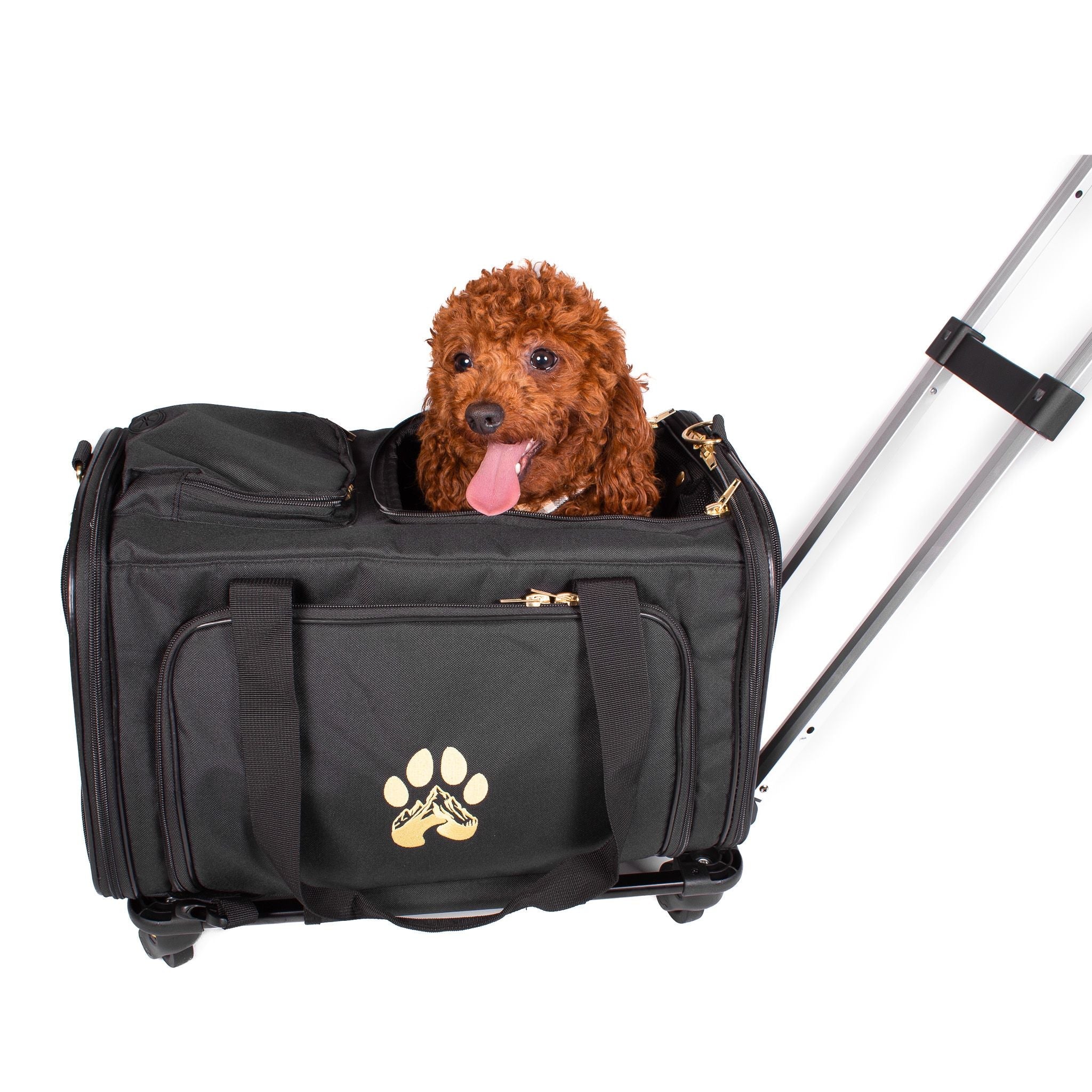 How to Travel With a Small Dog on a Plane  A Practical Guide for First-Time Travelers