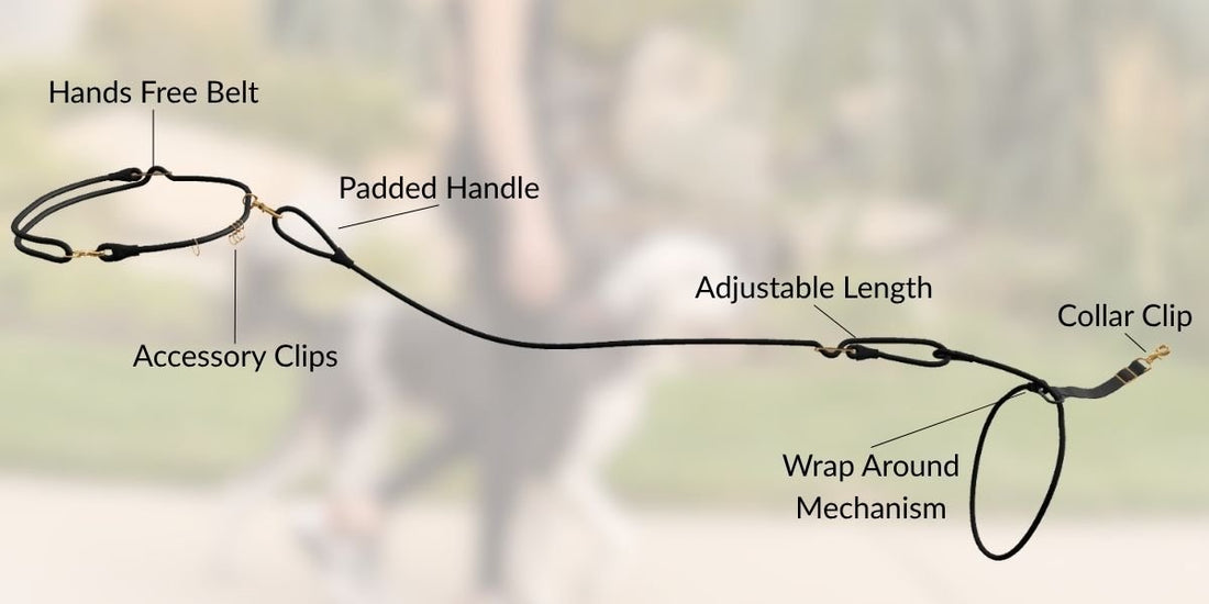 The Wrap Around Leash Method: Does It Work, Is It Safe, and Why It's Built Into the Calm Command - Wasatch Pup