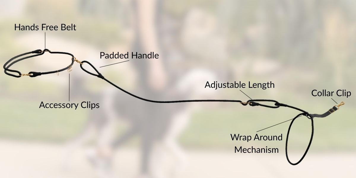The Wrap Around Leash Method: Does It Work, Is It Safe, and Why It's Built Into the Calm Command