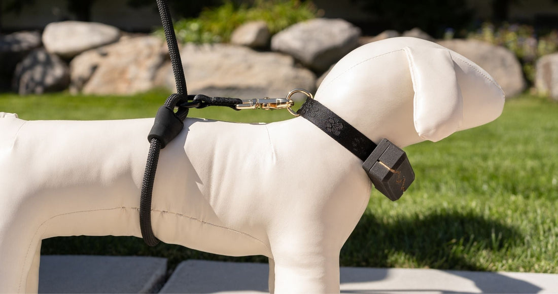 Calm Command No-Pull Leash: Instruction Manual