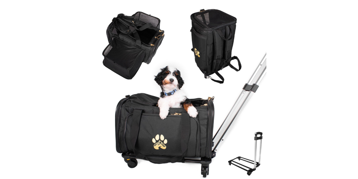 Will Your Carrier Fit Under the Seat?