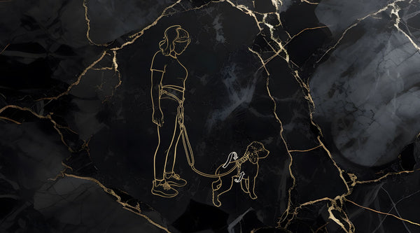 How to use the Calm Command No-Pull Leash