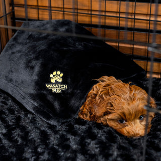 Free Puppy Blanket with Purchase!