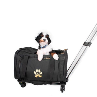 Air Pup Travel Carrier