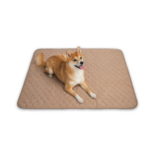 Brown Pad/Mat | EZwhelp