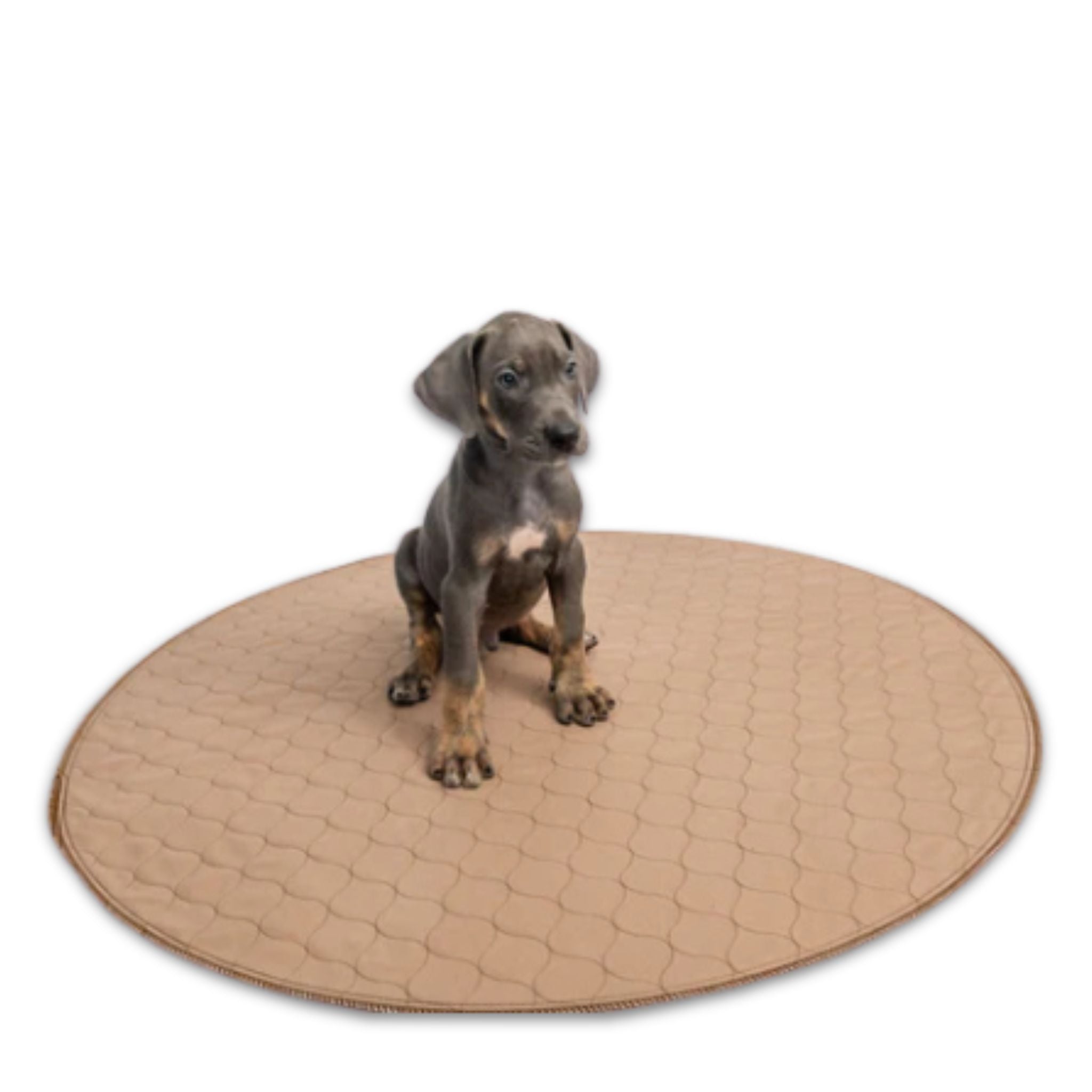Brown Pad/Mat | EZwhelp