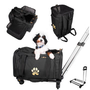 Air Pup Travel Carrier