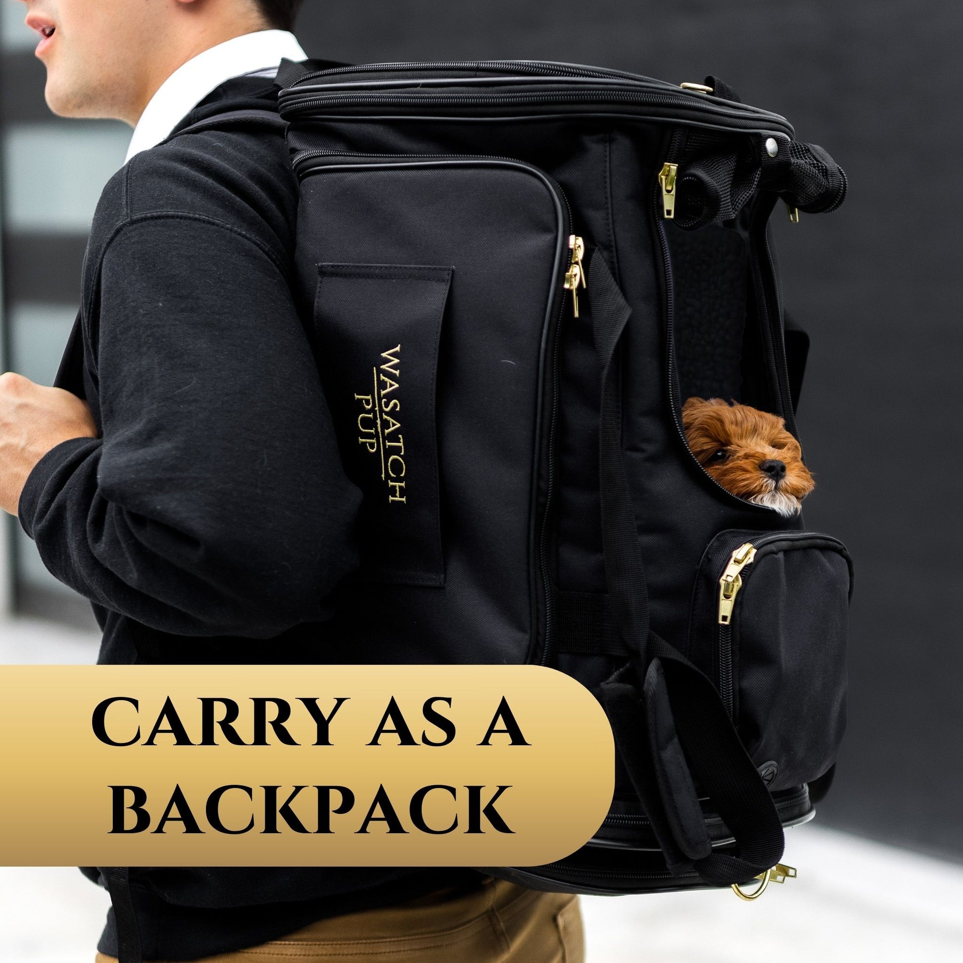airline approved pet travel backpack Air Pup Travel Carrier Safe, Versatile & Breathable Dog Travel – Wasatch Pup
