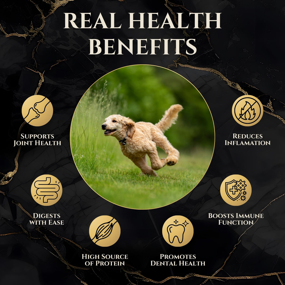 Freeze-Dried Chicken Neck Dog Treats - Wasatch Pup