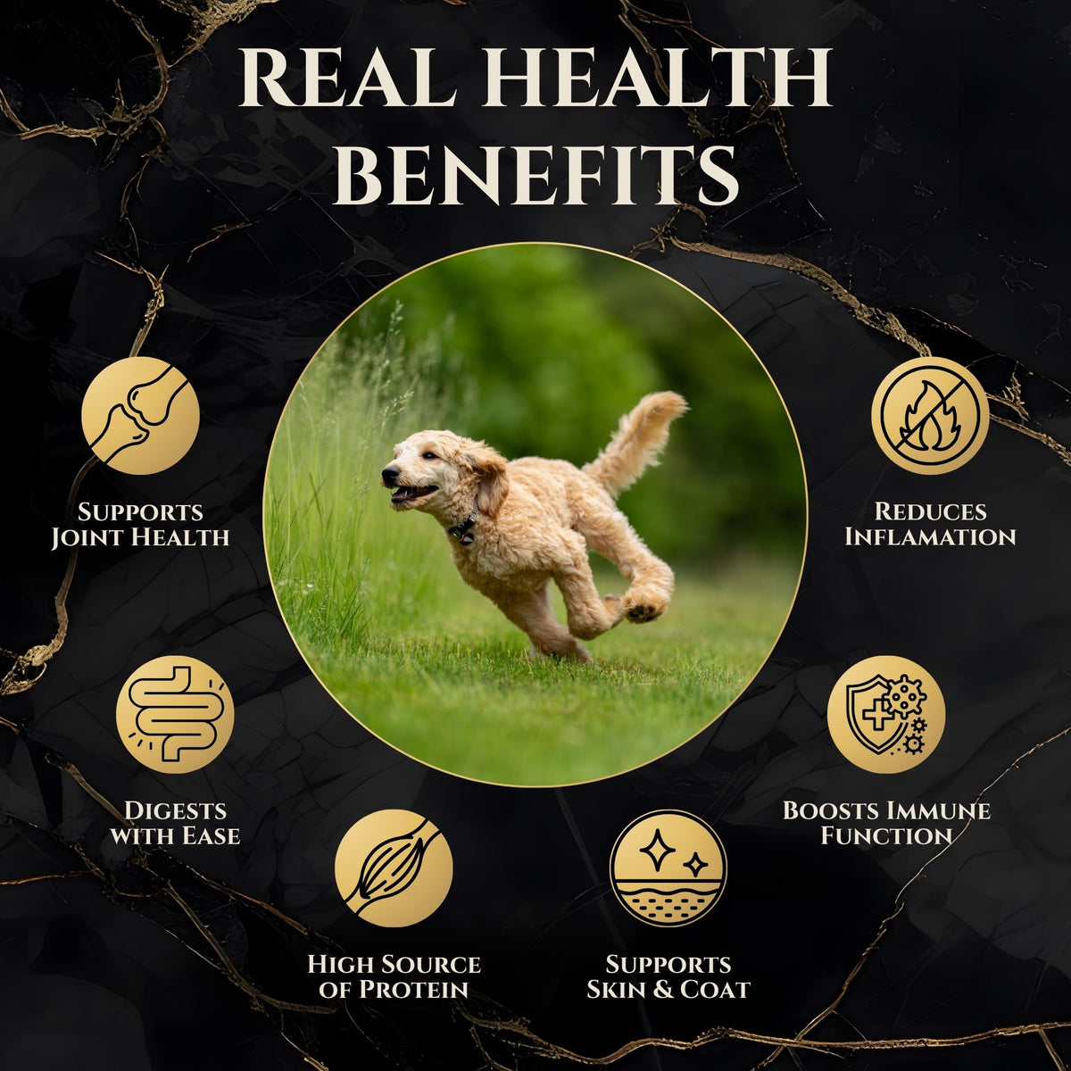 Freeze-Dried Alaskan Whitefish Dog Treats - Wasatch Pup