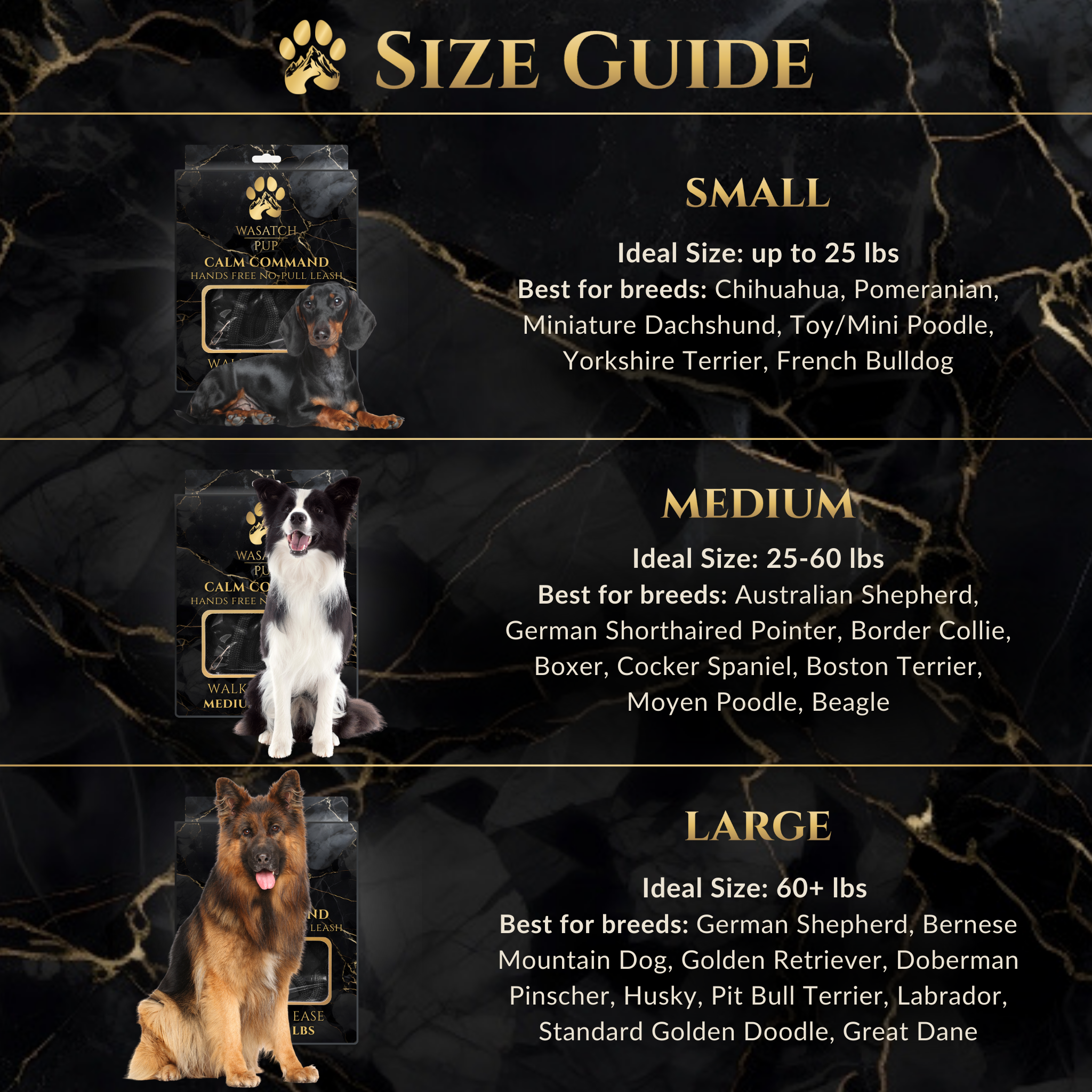 Calm Command: Hands Free No-Pull Leash