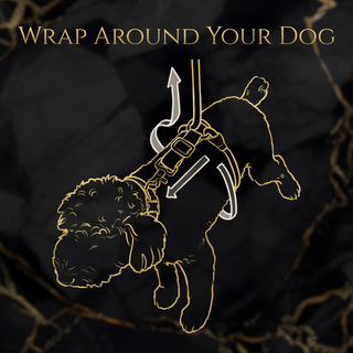 Calm Command: Hands Free No-Pull Leash