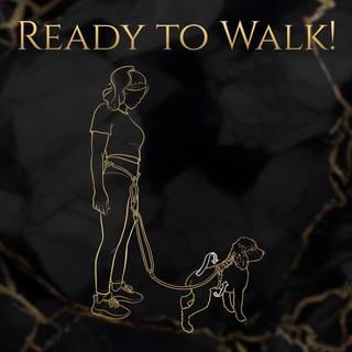 Calm Command: Hands Free No-Pull Leash