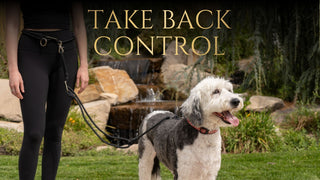 Woman walking a dog with a no pull hands free dog leash, features 'Take Back Control' text in an outdoor setting