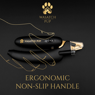 3 in 1 Nail Clippers