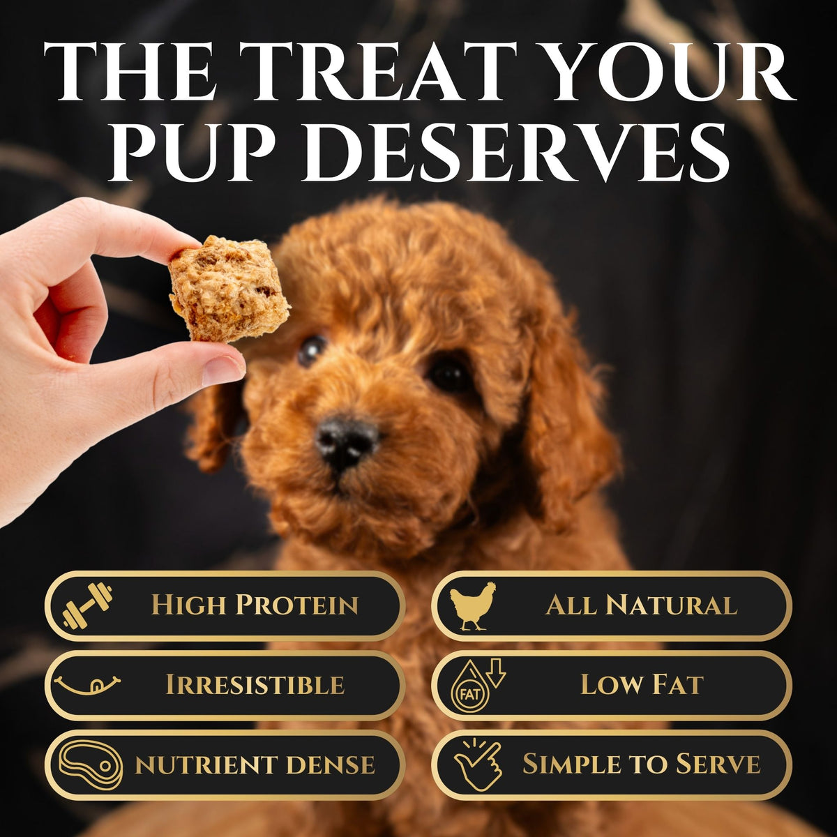 Freeze-Dried Chicken Crisps Dog Treats - Wasatch Pup