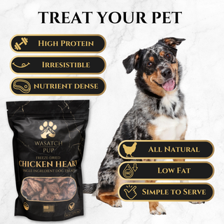 Freeze-Dried Chicken Heart | Single Ingredient Dog Treats