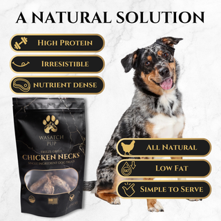 Freeze-Dried Chicken Necks | Single Ingredient Dog Treats