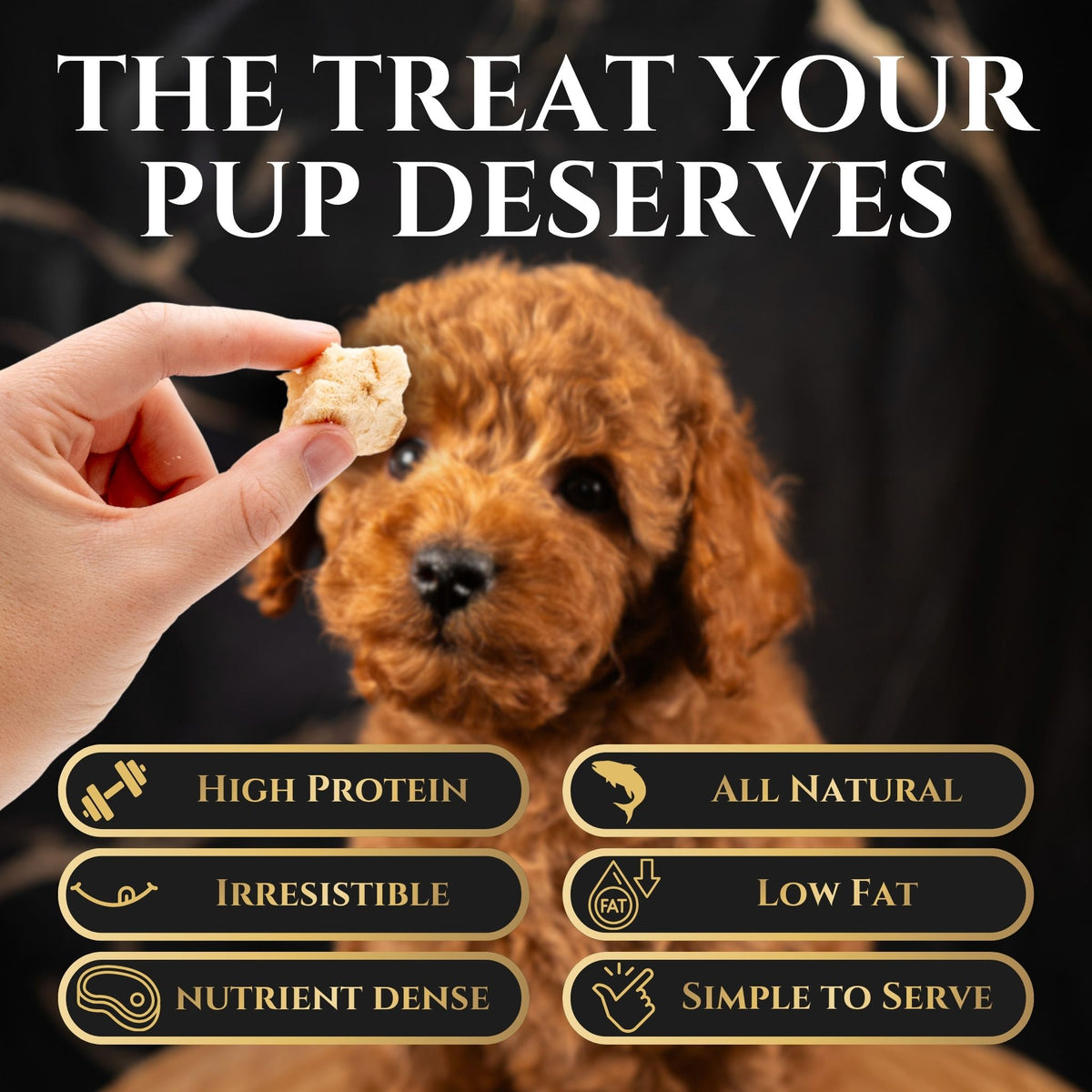 Freeze-Dried Alaskan Whitefish Dog Treats - Wasatch Pup