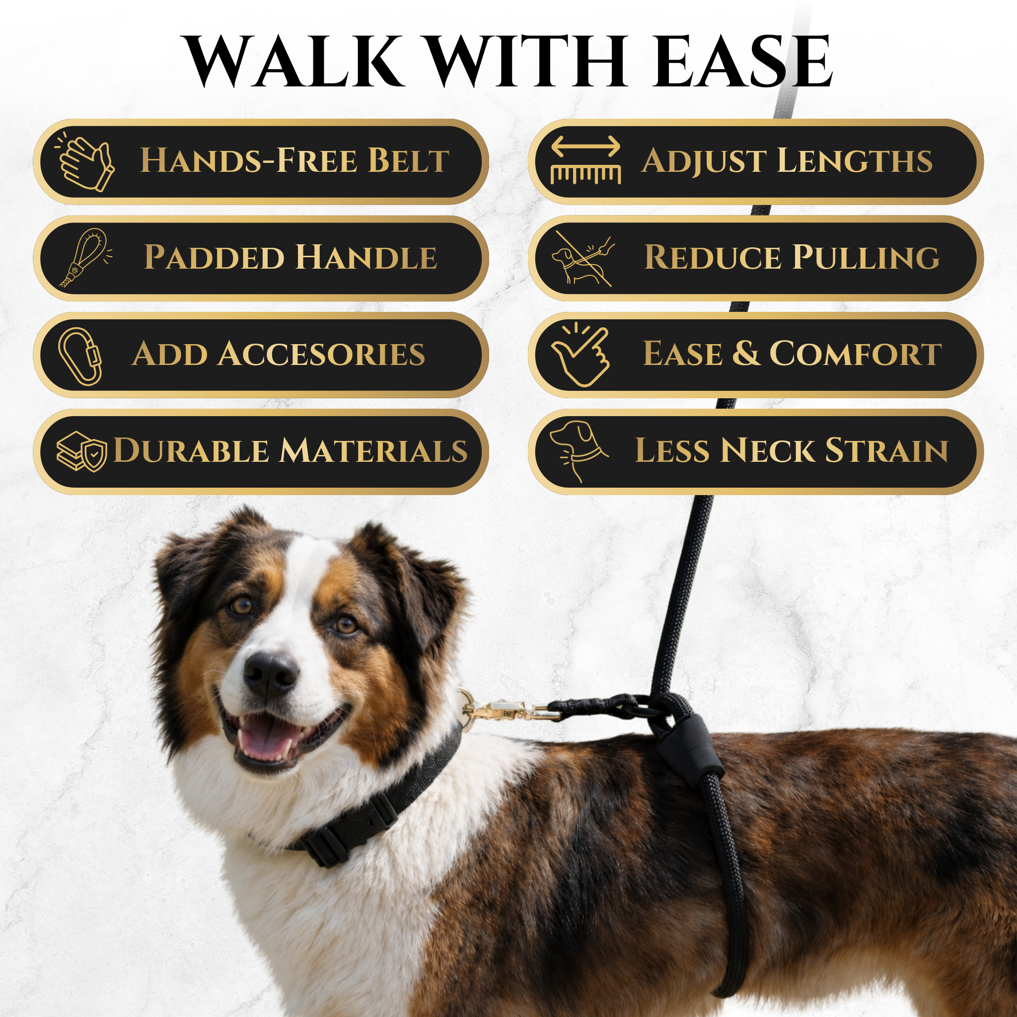 Dog wearing a leash with features listed above on a white background. Enjoy better walks with the Calm Command hands-free no-pull leash. Designed for comfort and control, it's the perfect tool for active pet owners.