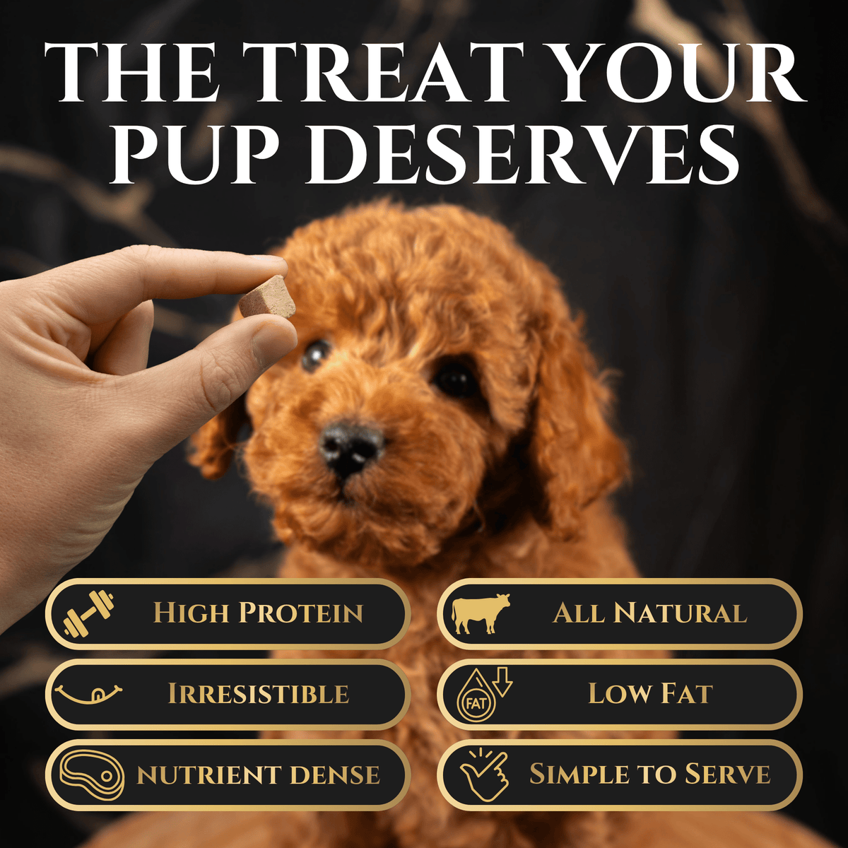 Freeze-Dried Beef Liver Dog Treats - Wasatch Pup