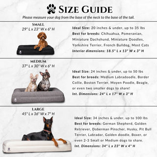 Luxury Orthopedic Dog Bed