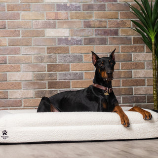 Luxury Orthopedic Dog Bed