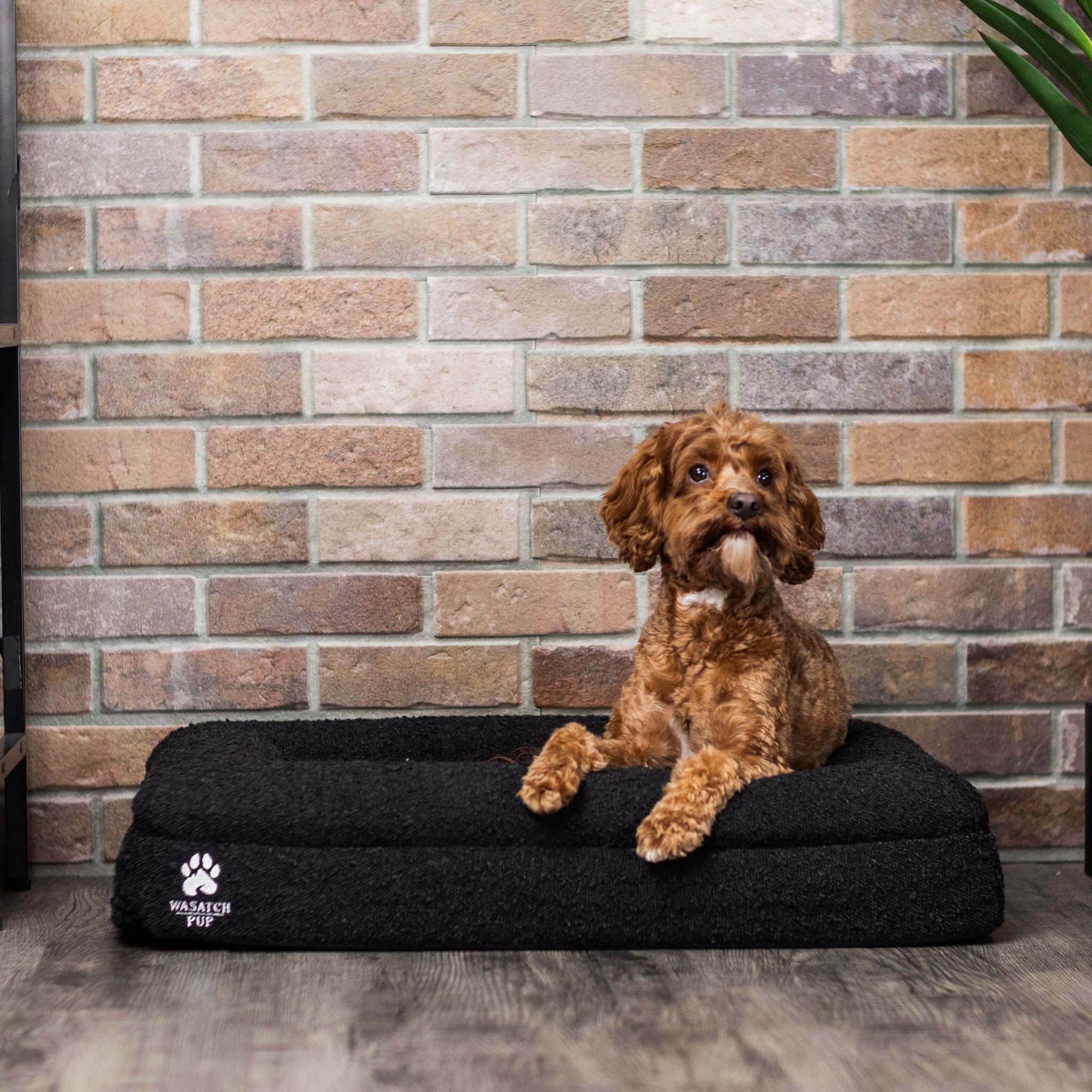 Luxury Orthopedic Dog Bed