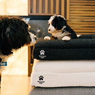 Luxury Orthopedic Dog Bed