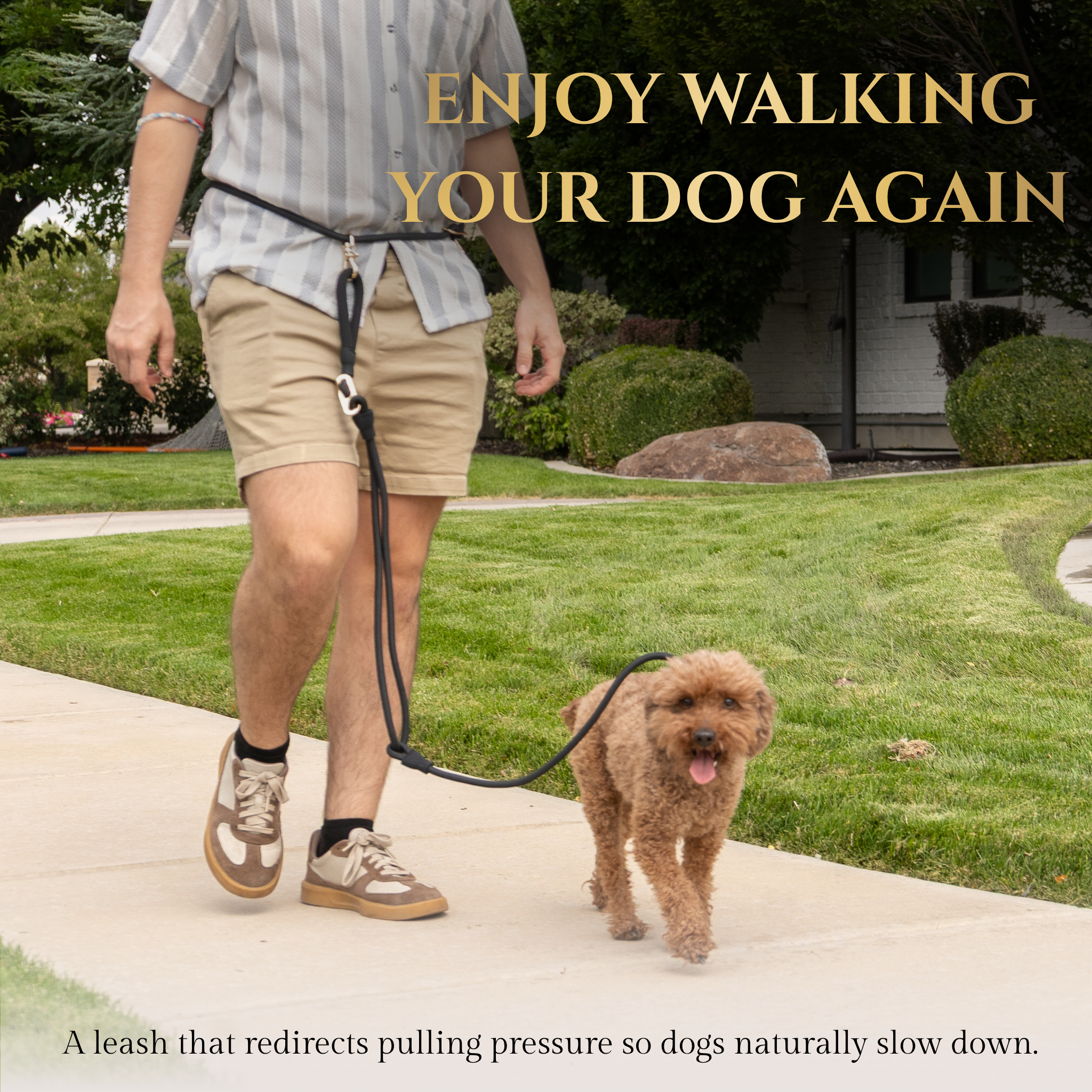 Person walking a dog on a leash with text 'Enjoy walking your dog again' in a residential area. Enjoy better walks with the Calm Command hands-free no-pull leash. Designed for comfort and control, it's the perfect tool for active pet owners. 