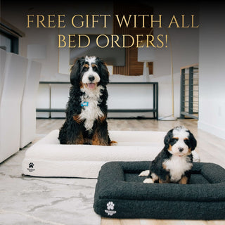 Two dogs on pet beds with a promotional message: "Free Gift with All Bed Orders".