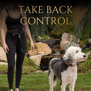 Woman in black outfit walking a dog with 'Take Back Control' text using the no pull leash