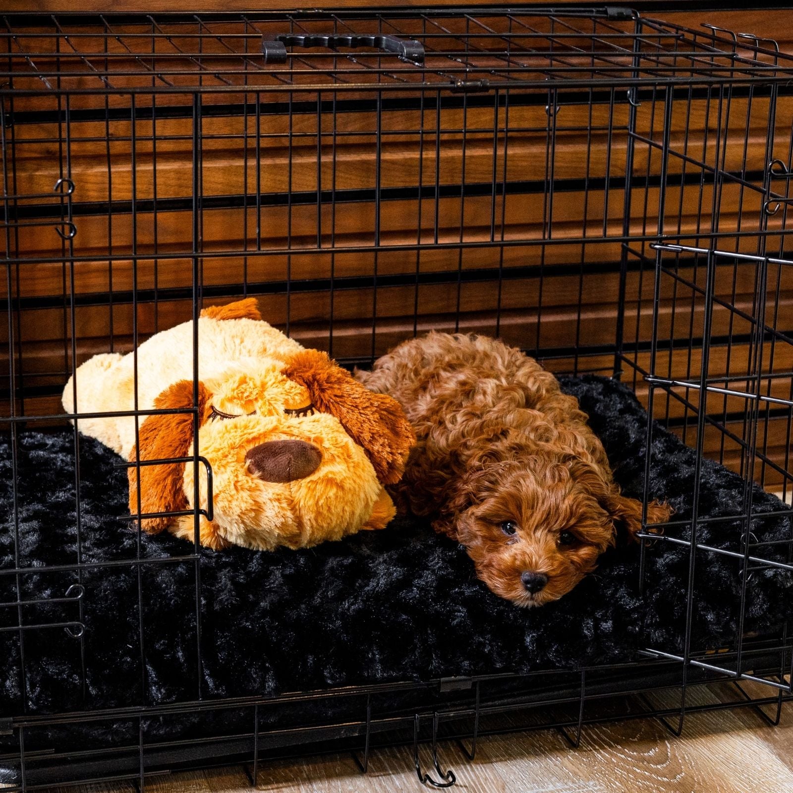 DOG-FIGHIT,ベトジャン　サイズL〜LL Classic Wire Dog Kennel | Foldable Double-Door Dog Crate – Wasatch Pup