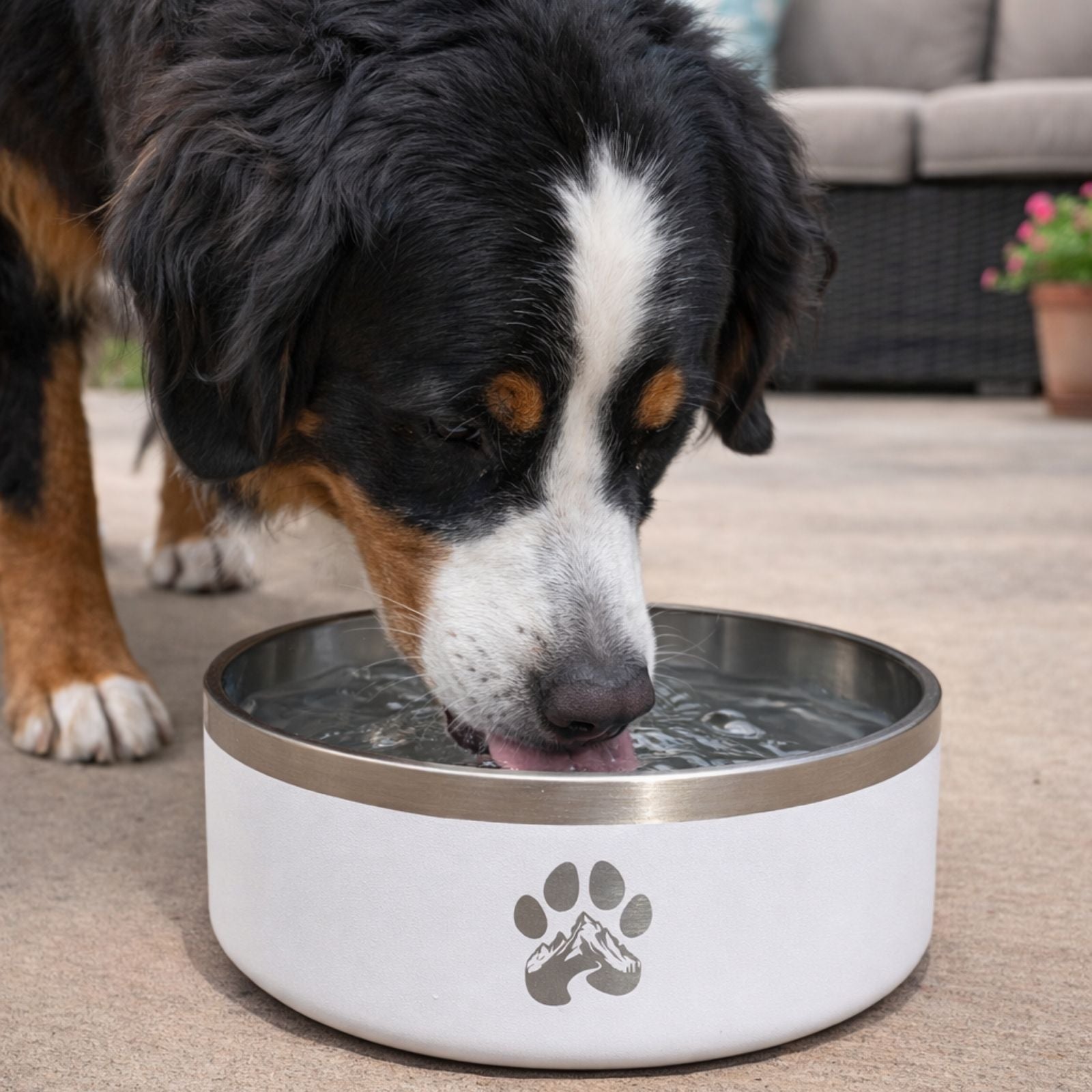 Stainless Steel Feeder Bowl
