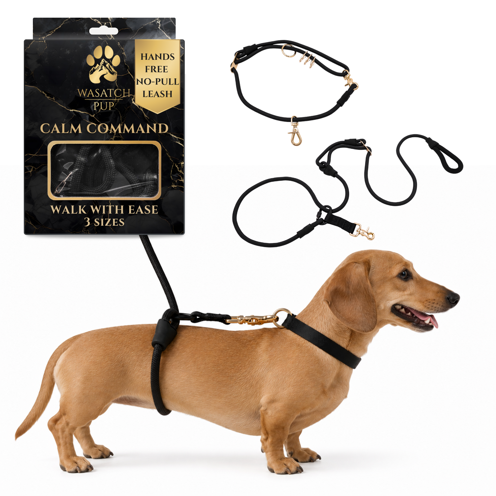 Dog wearing a black leash with a 'Wasatch Pup' package and dog collar in the background. Enjoy better walks with the Calm Command hands-free no-pull leash. Designed for comfort and control, it's the perfect tool for active pet owners.