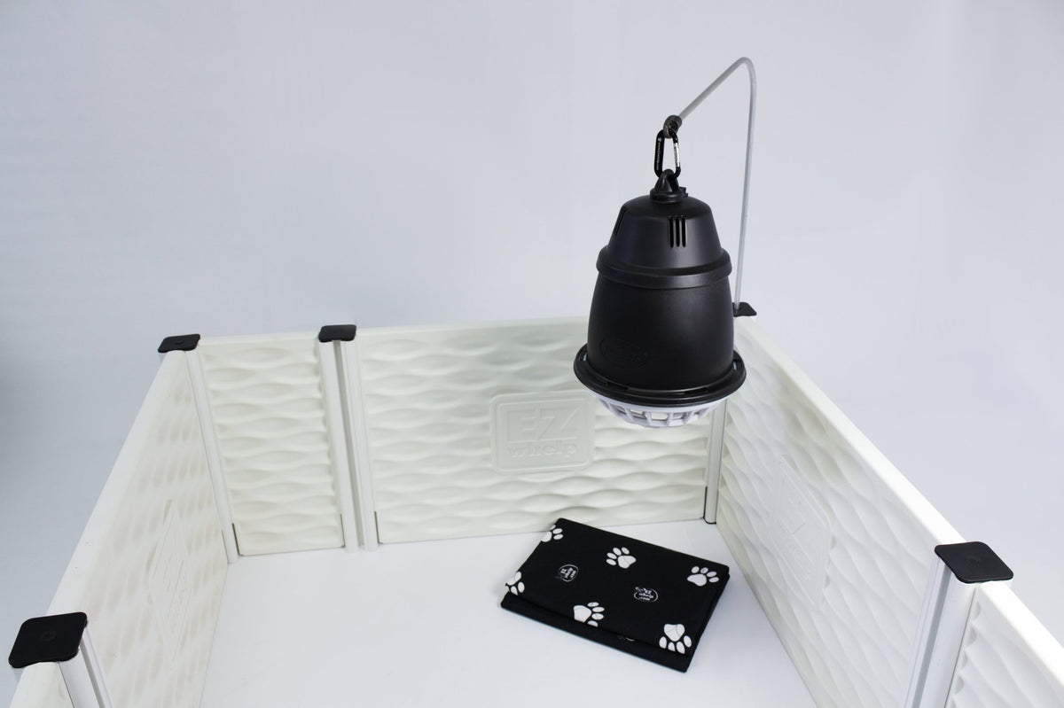EZwhelp Puppy Whelping Starter Kit Heat Lamp Above Whelping Box - Wasatch Pup
