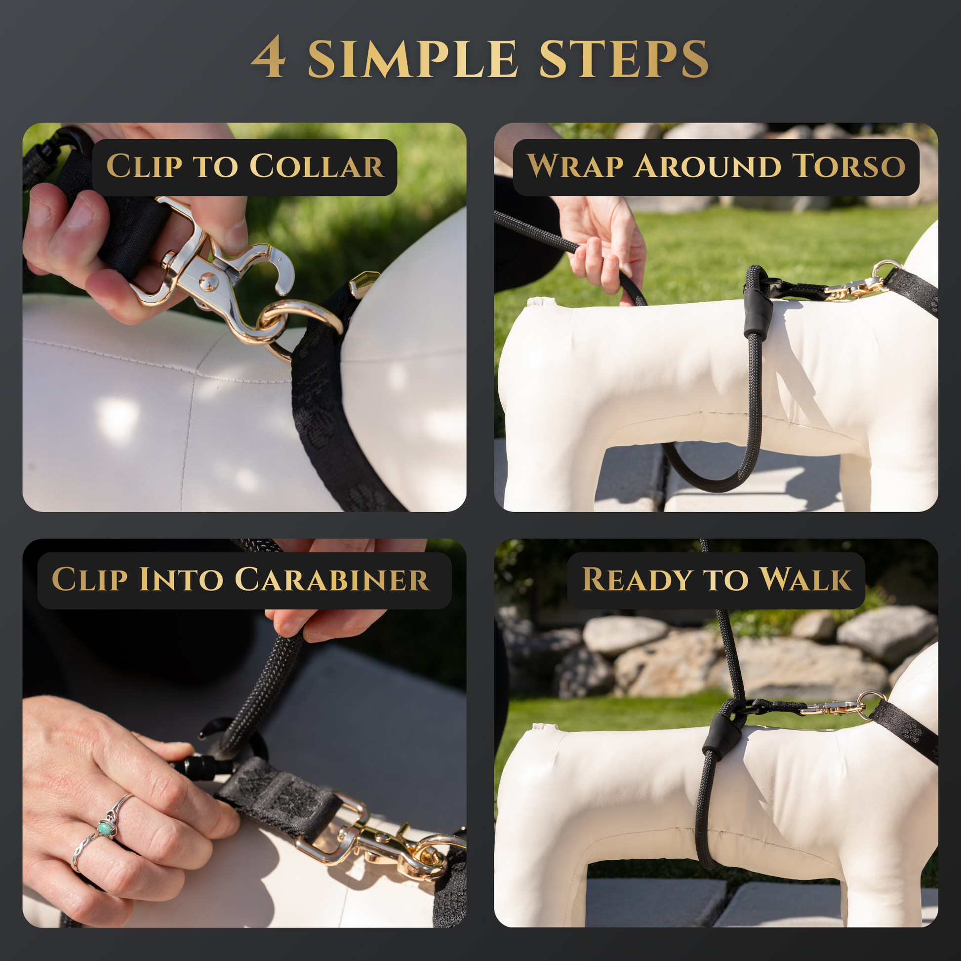 Step-by-step guide on how to use a dog harness with text labels. Enjoy better walks with the Calm Command hands-free no-pull leash. Designed for comfort and control, it's the perfect tool for active pet owners.