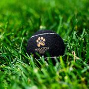 Black tennis ball with 'Wasatch Pup' logo on grass