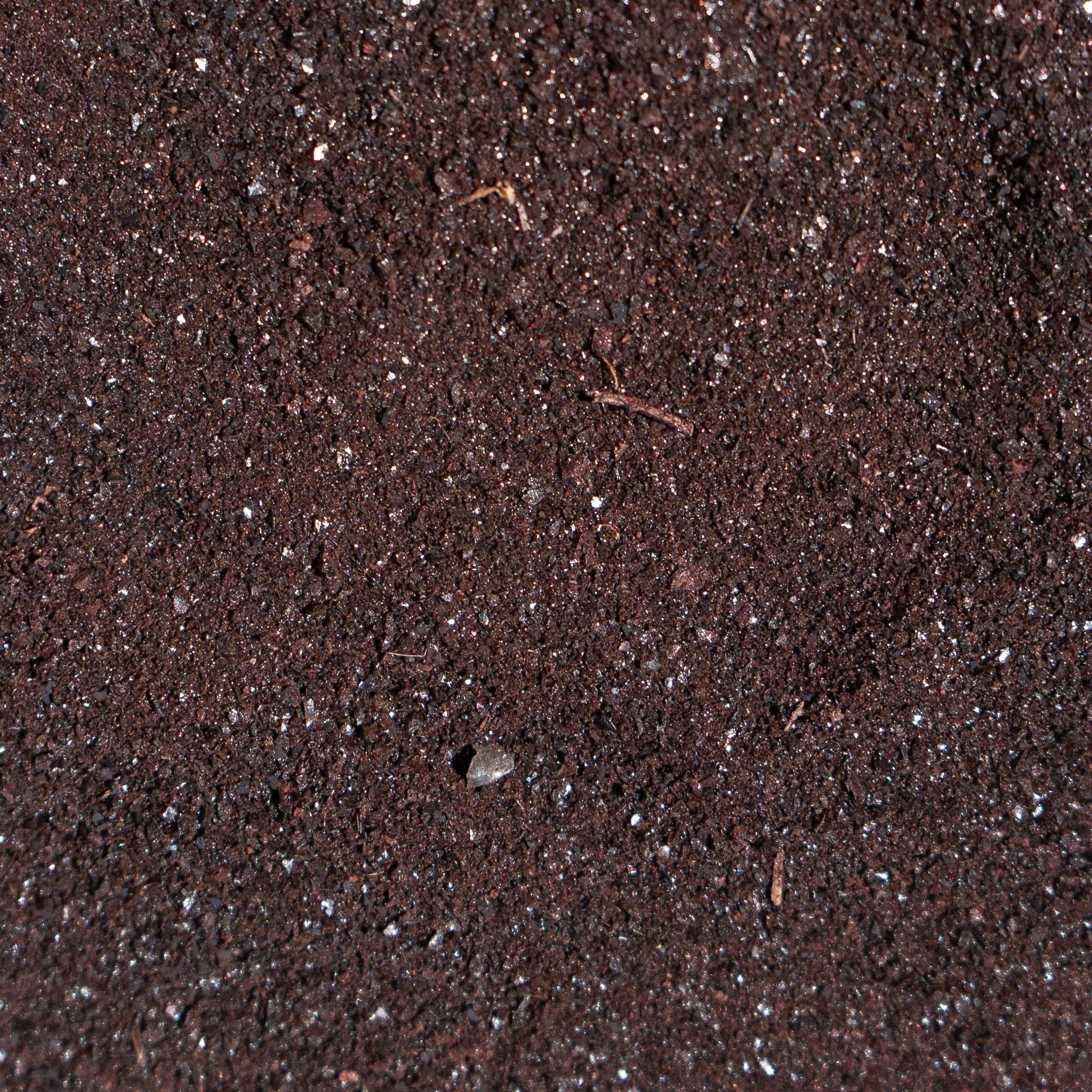 Freeze-Dried Beef Blood | Single Ingredient Meal Topper