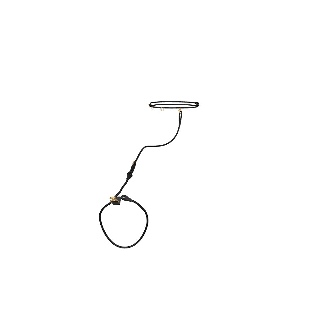 Calm Command: Hands Free No-Pull Leash