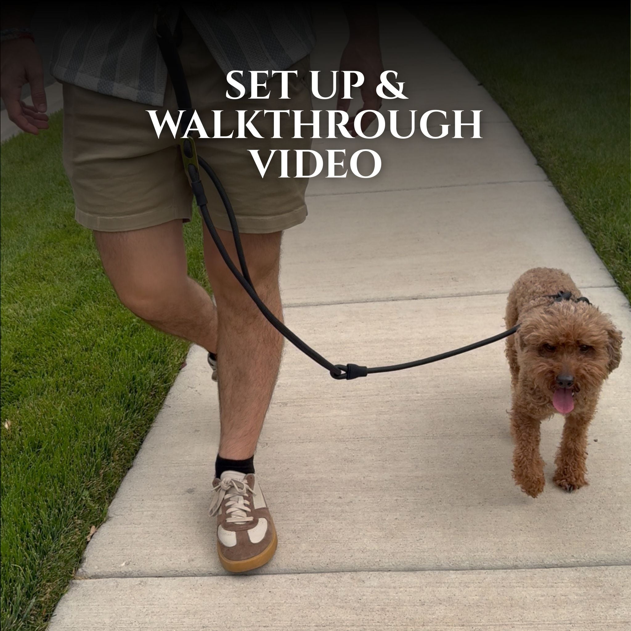 Load video: A person demonstrates setting up and walking a dog using the Calm Command No-Pull Leash. The leash clips to the back of the collar or harness, wraps under the dog’s torso, and secures into a carabiner to redirect pressure away from the neck. The video shows hand-held and hands-free walking, leash adjustment, and a dog learning to walk calmly without pulling.