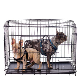 Classic Wire Kennel