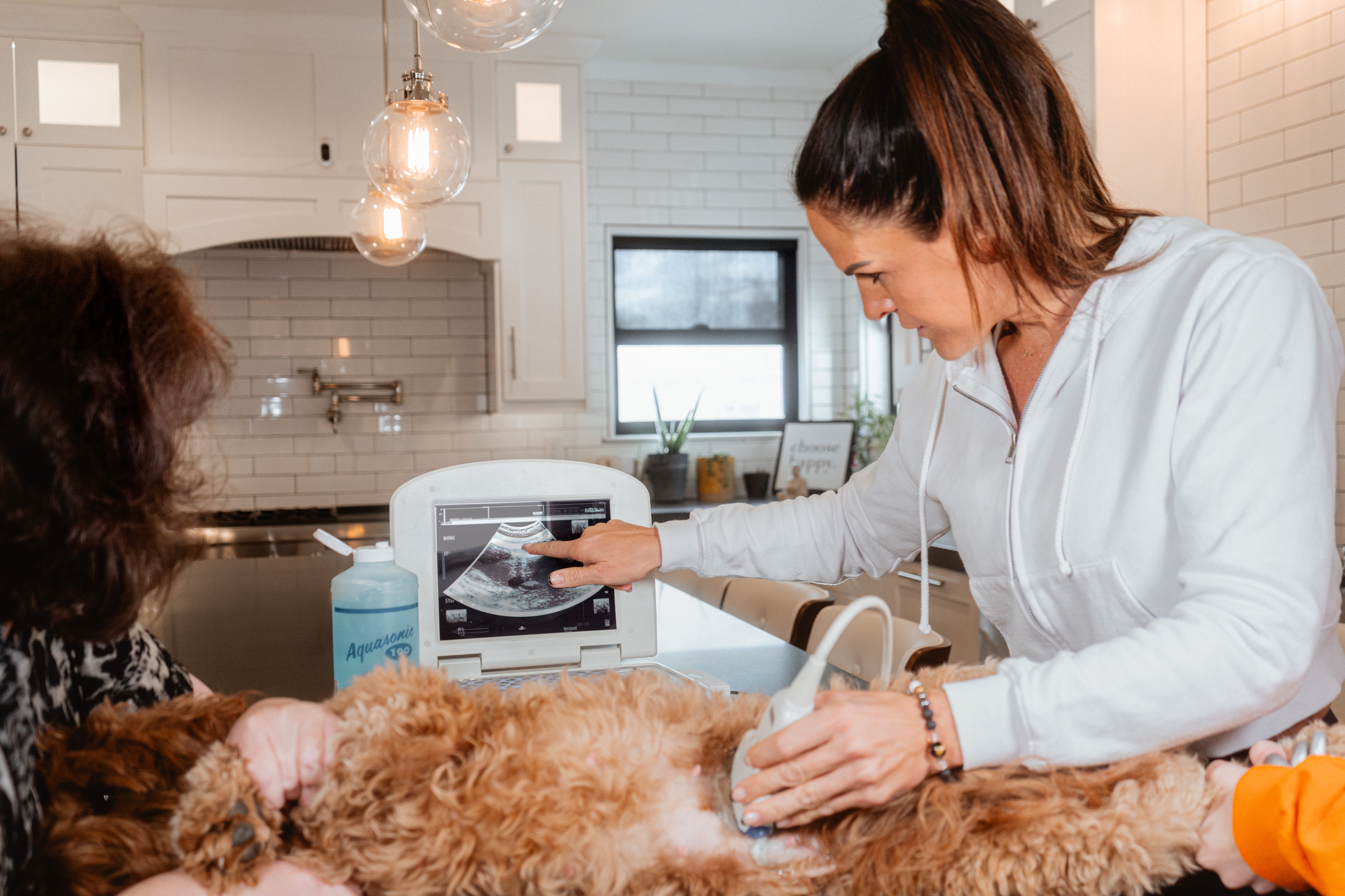 Wasatch Pup team, Daniel Thomas. Wearing a black shirt dress against a dark background.